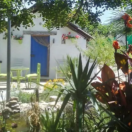 Willa Vivienda Rural La Choza Jerez de la Frontera Zewnętrze zdjęcie