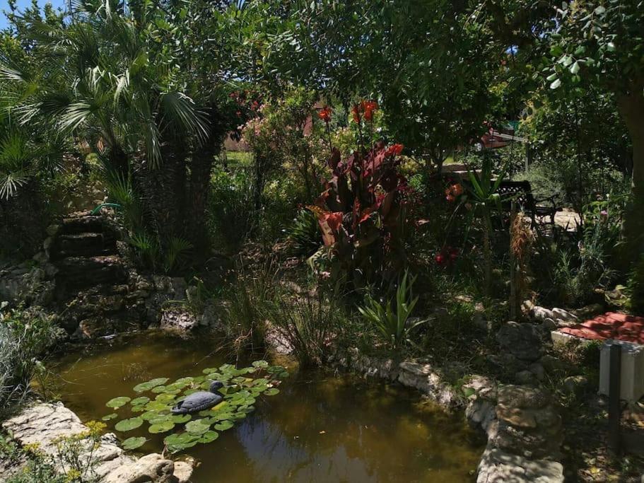 Vivienda Rural La Choza Dom wakacyjny