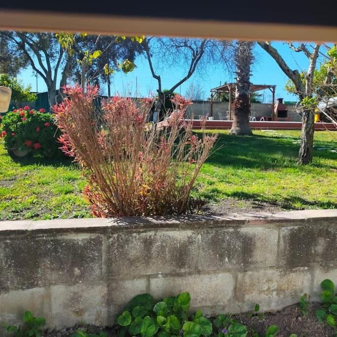 Dom wakacyjny Vivienda Rural La Choza